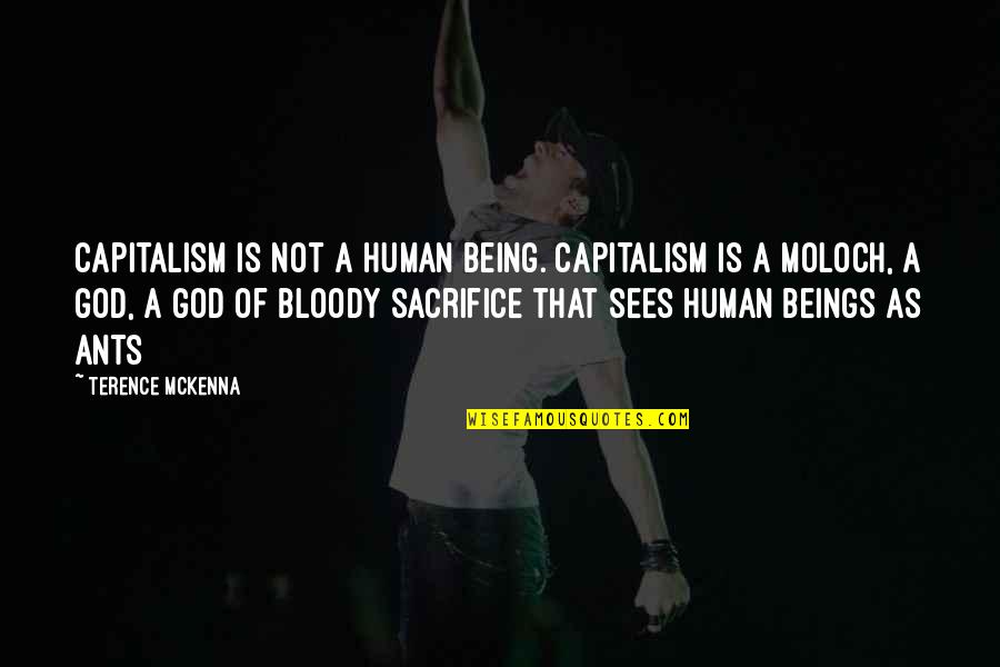 Mckenna Quotes By Terence McKenna: Capitalism is not a human being. Capitalism is