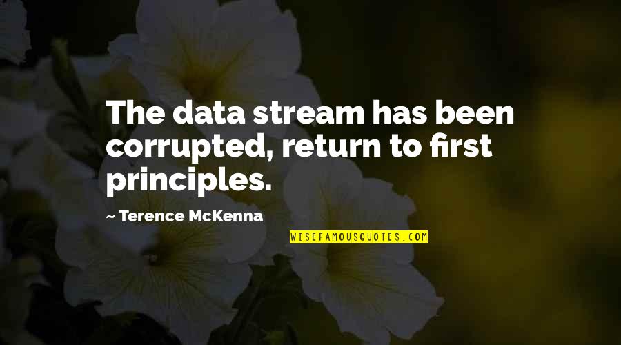 Mckenna Quotes By Terence McKenna: The data stream has been corrupted, return to