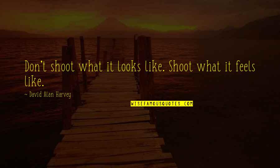 Mckinna School Quotes By David Alan Harvey: Don't shoot what it looks like. Shoot what Mckinna School Quotes By David Alan Harvey: Don't shoot what it looks like. Shoot what