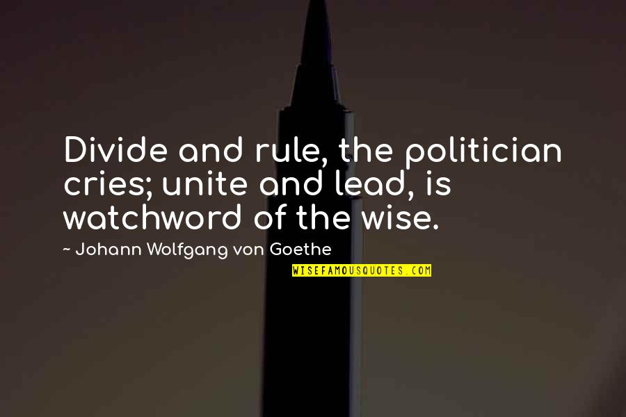 Mckissock Appraisal Quotes By Johann Wolfgang Von Goethe: Divide and rule, the politician cries; unite and