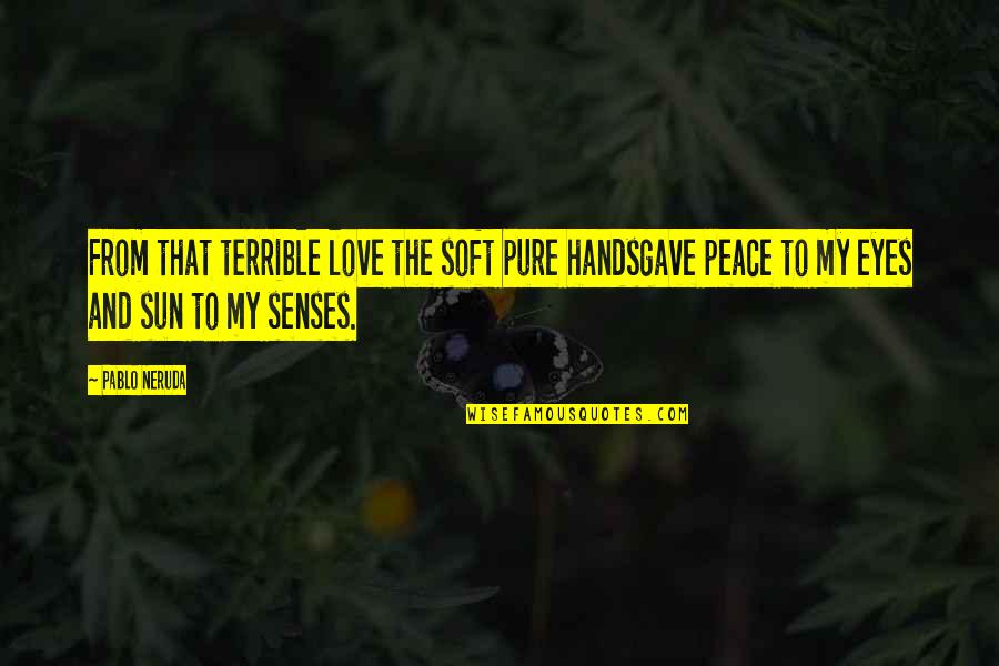 Mclagan Compensation Quotes By Pablo Neruda: From that terrible love the soft pure handsgave