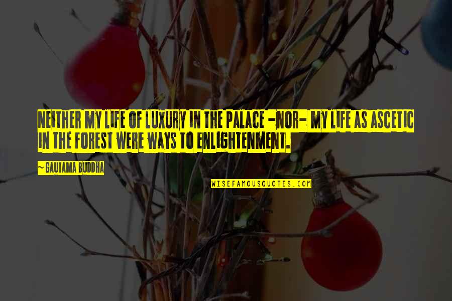 Mcloughlin Mason Quotes By Gautama Buddha: Neither my life of luxury in the palace Mcloughlin Mason Quotes By Gautama Buddha: Neither my life of luxury in the palace