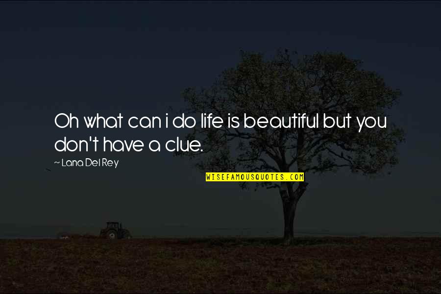 Mcmanamy Mcleod Quotes By Lana Del Rey: Oh what can i do life is beautiful
