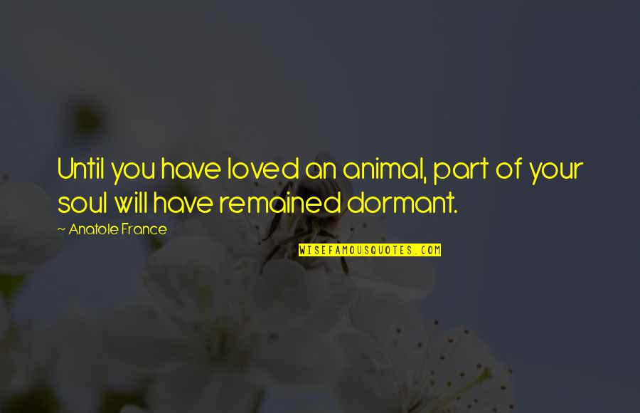 Mcmanamy Quotes By Anatole France: Until you have loved an animal, part of