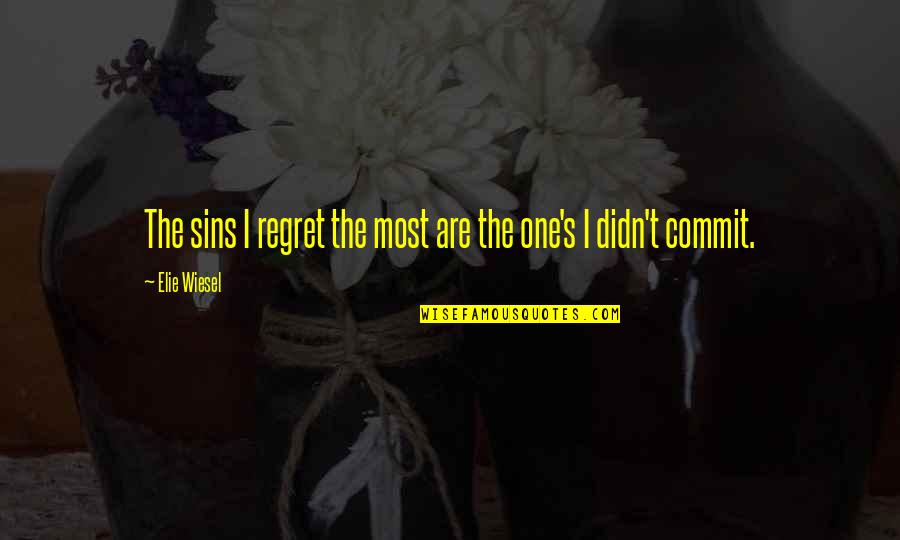 Mcmannis Hotels Quotes By Elie Wiesel: The sins I regret the most are the