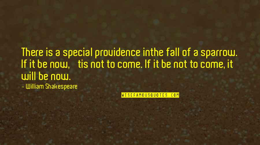 Mcmellon Bros Quotes By William Shakespeare: There is a special providence inthe fall of Mcmellon Bros Quotes By William Shakespeare: There is a special providence inthe fall of