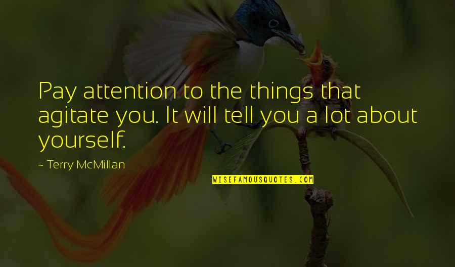 Mcmillan Quotes By Terry McMillan: Pay attention to the things that agitate you.