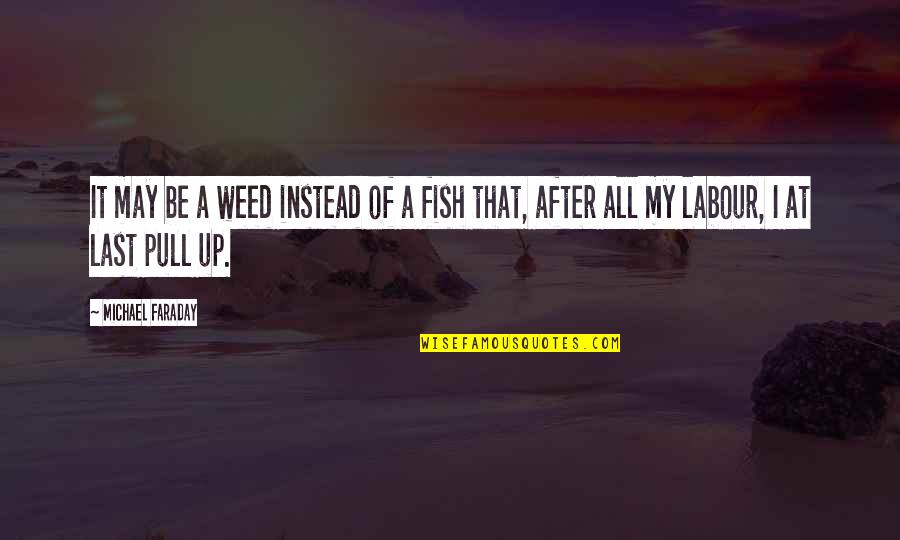 Mcmurphy In One Flew Over The Cuckoos Nest Quotes By Michael Faraday: It may be a weed instead of a