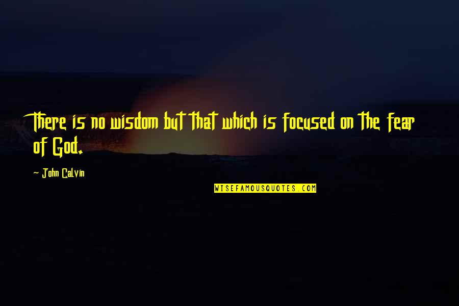 Mcnaughtons Garden Quotes By John Calvin: There is no wisdom but that which is