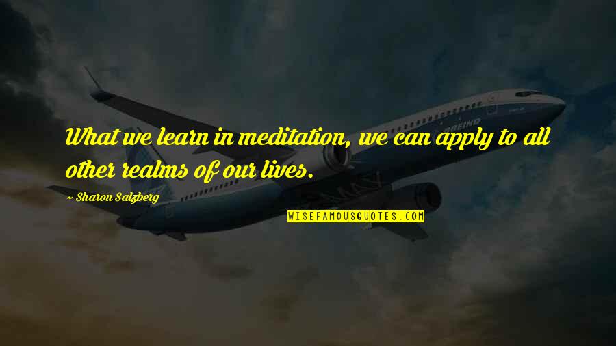 Mcnider J Quotes By Sharon Salzberg: What we learn in meditation, we can apply