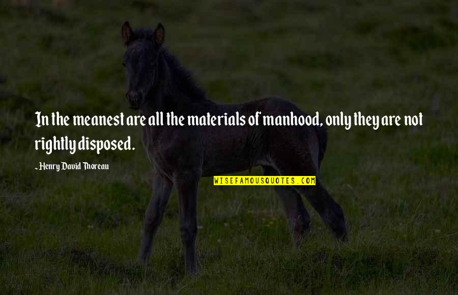 Mcniece Wrecker Quotes By Henry David Thoreau: In the meanest are all the materials of Mcniece Wrecker Quotes By Henry David Thoreau: In the meanest are all the materials of