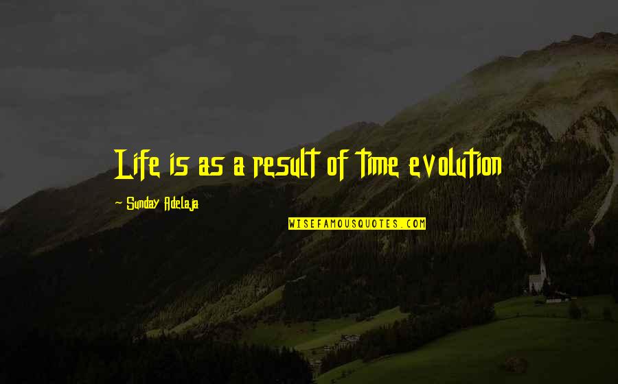 Mcquaig Assessment Quotes By Sunday Adelaja: Life is as a result of time evolution