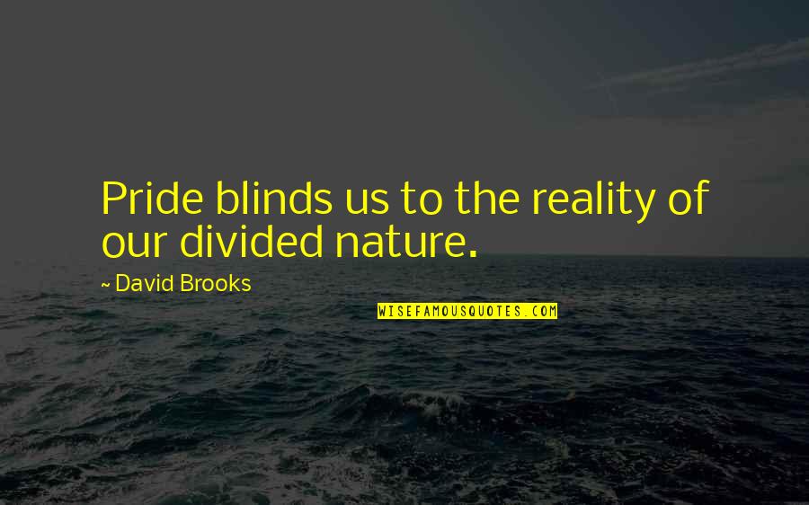 Mcquarries Quotes By David Brooks: Pride blinds us to the reality of our Mcquarries Quotes By David Brooks: Pride blinds us to the reality of our