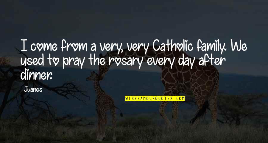 Mcqueens Island Quotes By Juanes: I come from a very, very Catholic family. Mcqueens Island Quotes By Juanes: I come from a very, very Catholic family.