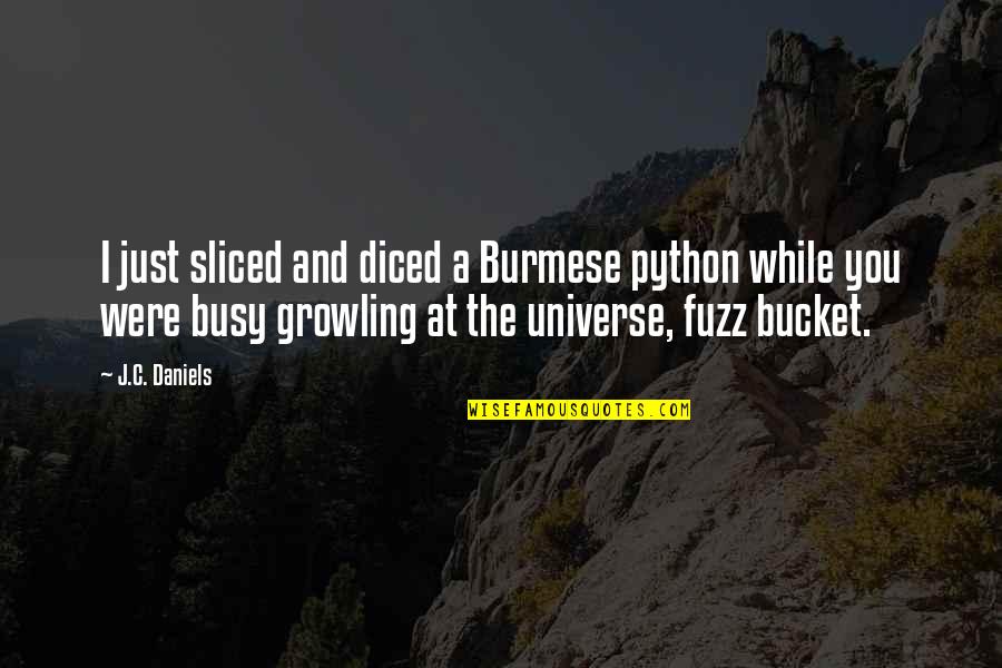 Mcshanns Quotes By J.C. Daniels: I just sliced and diced a Burmese python Mcshanns Quotes By J.C. Daniels: I just sliced and diced a Burmese python