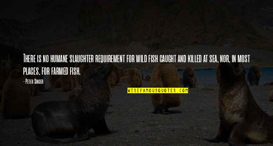 Mctiernan Gainesville Quotes By Peter Singer: There is no humane slaughter requirement for wild