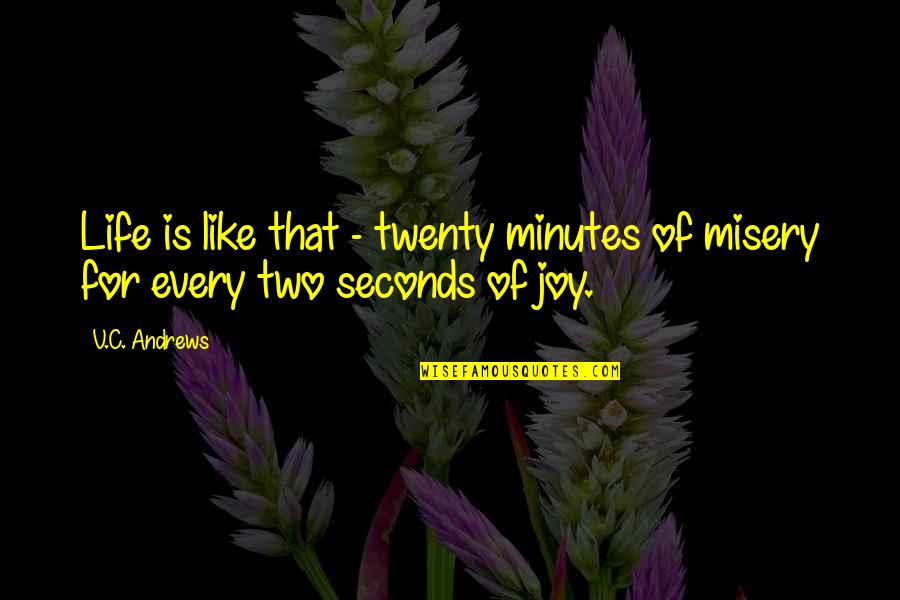 Mctiernan Imdb Quotes By V.C. Andrews: Life is like that - twenty minutes of