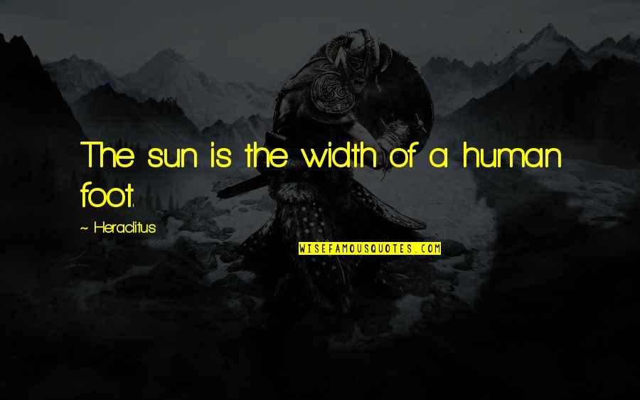 Mdid Quotes By Heraclitus: The sun is the width of a human Mdid Quotes By Heraclitus: The sun is the width of a human