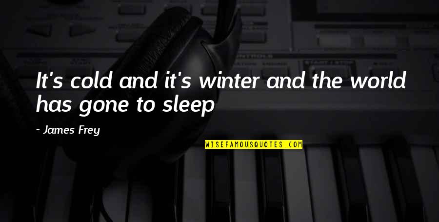 Mdw Quotes By James Frey: It's cold and it's winter and the world