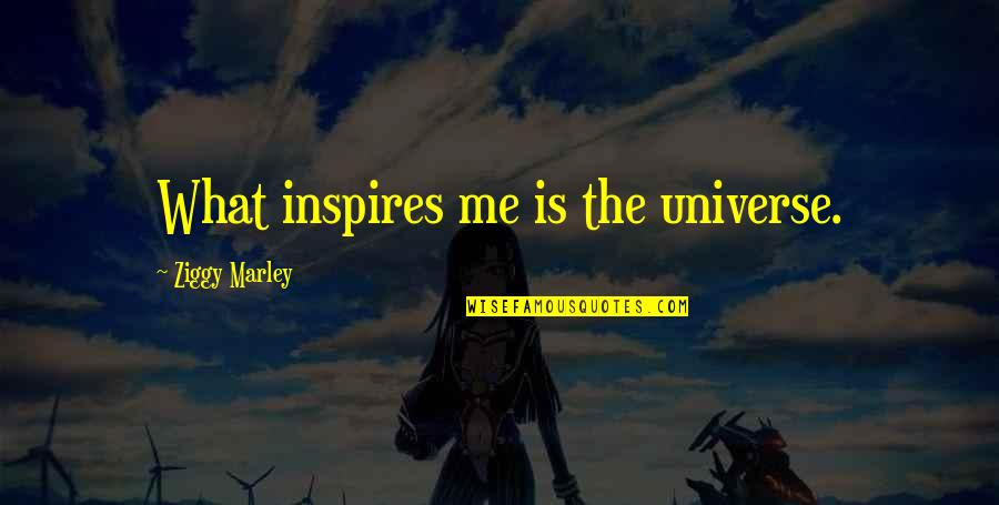 Me And Marley Quotes By Ziggy Marley: What inspires me is the universe.