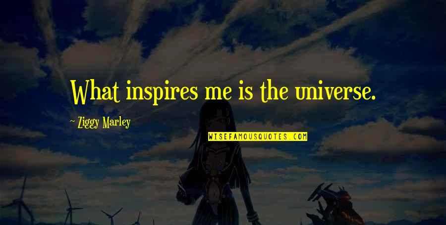 Me And Marley Quotes By Ziggy Marley: What inspires me is the universe. Me And Marley Quotes By Ziggy Marley: What inspires me is the universe.