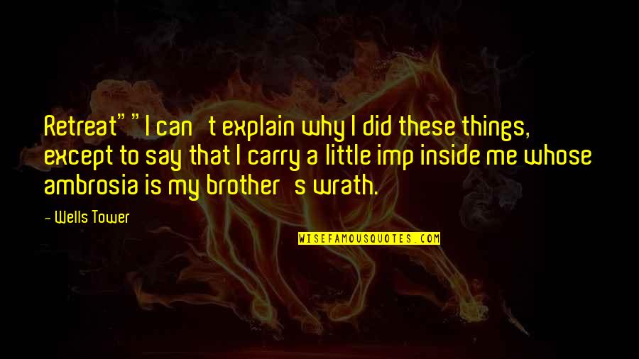 Me And My Little Brother Quotes By Wells Tower: Retreat""I can't explain why I did these things,