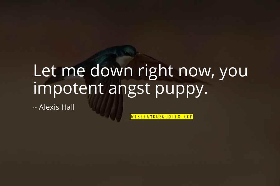 Me And My Puppy Quotes By Alexis Hall: Let me down right now, you impotent angst