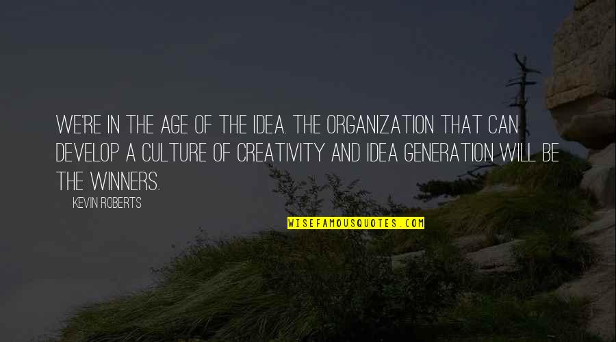 Me And Sunset Quotes By Kevin Roberts: We're in the age of the idea. The
