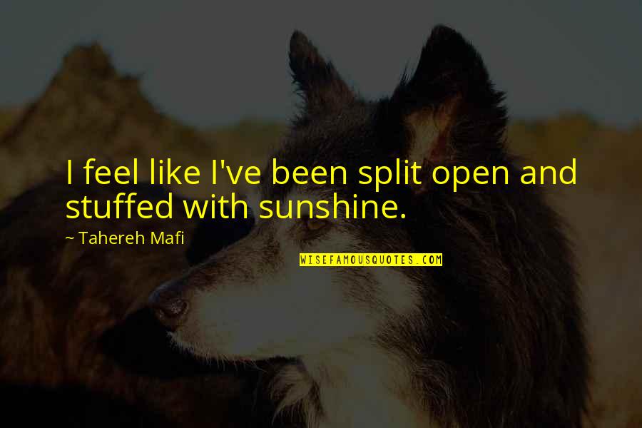 Me Happy Quotes By Tahereh Mafi: I feel like I've been split open and