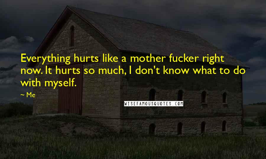 Me quotes: Everything hurts like a mother fucker right now. It hurts so much, I don't know what to do with myself.