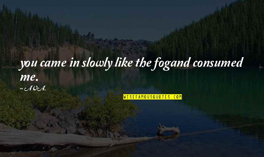 Me Quotes Quotes By AVA.: you came in slowly like the fogand consumed
