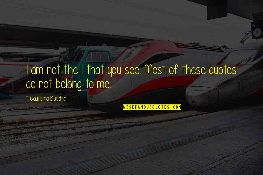 Me Quotes Quotes By Gautama Buddha: I am not the I that you see.