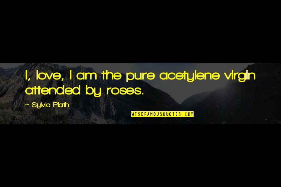 Me Robaste El Corazon Quotes By Sylvia Plath: I, love, I am the pure acetylene virgin