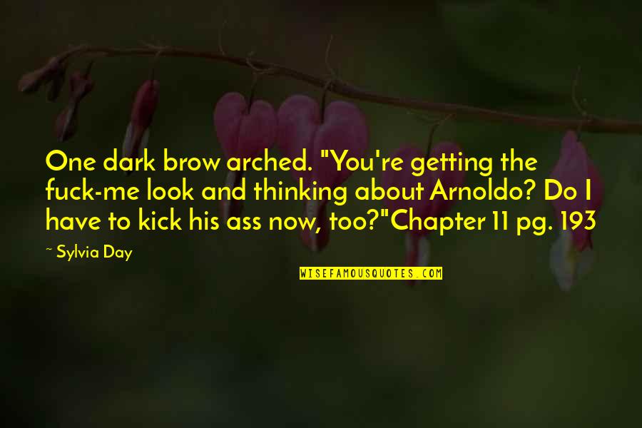 Me Thinking About You Quotes By Sylvia Day: One dark brow arched. "You're getting the fuck-me