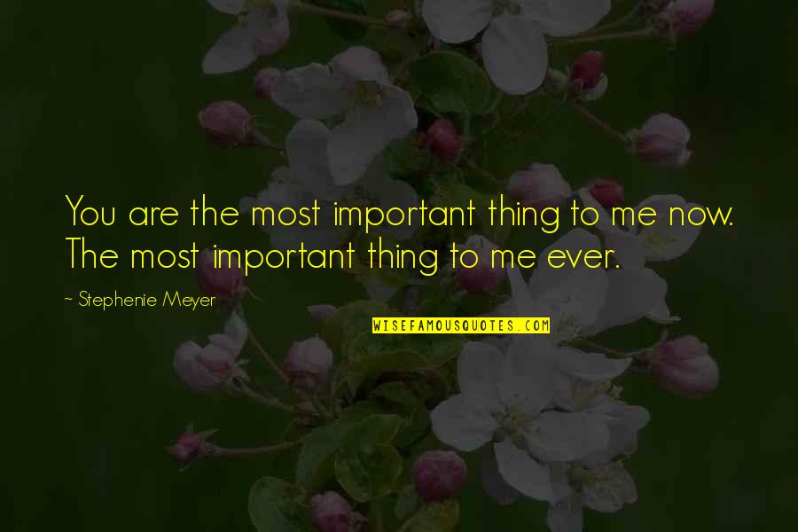 Me To You Love Quotes By Stephenie Meyer: You are the most important thing to me