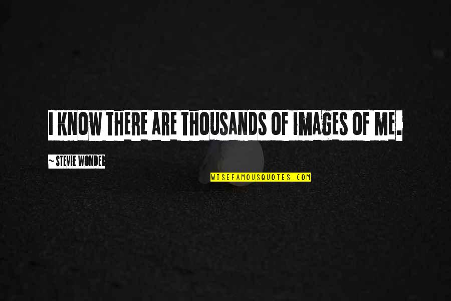 Me With Images Quotes By Stevie Wonder: I know there are thousands of images of