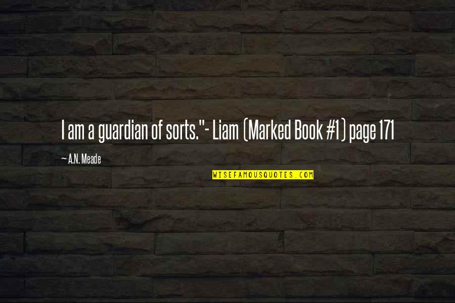 Meade Quotes By A.N. Meade: I am a guardian of sorts."- Liam (Marked