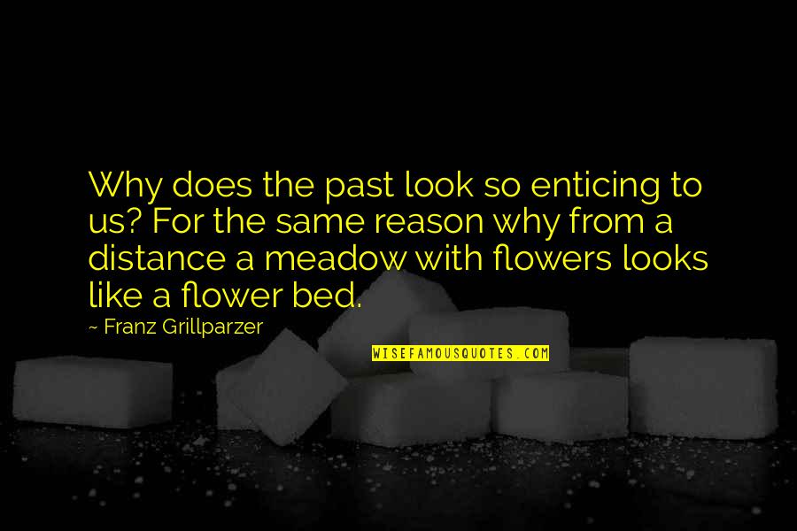 Meadow Quotes By Franz Grillparzer: Why does the past look so enticing to