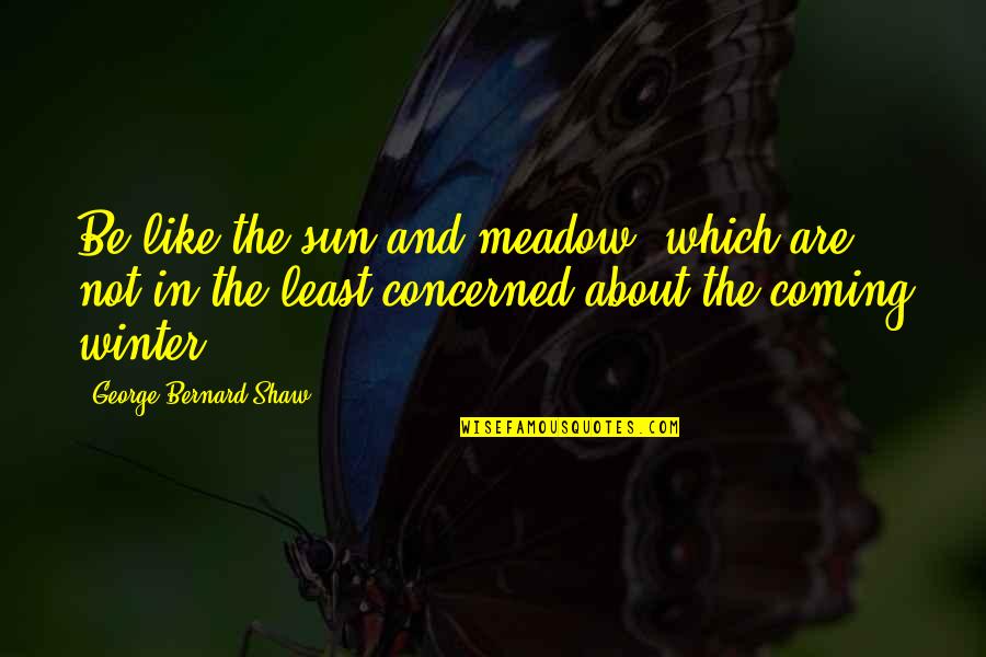 Meadow Quotes By George Bernard Shaw: Be like the sun and meadow, which are