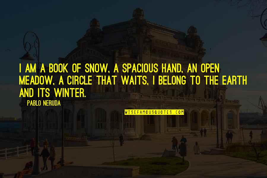 Meadow Quotes By Pablo Neruda: I am a book of snow, a spacious