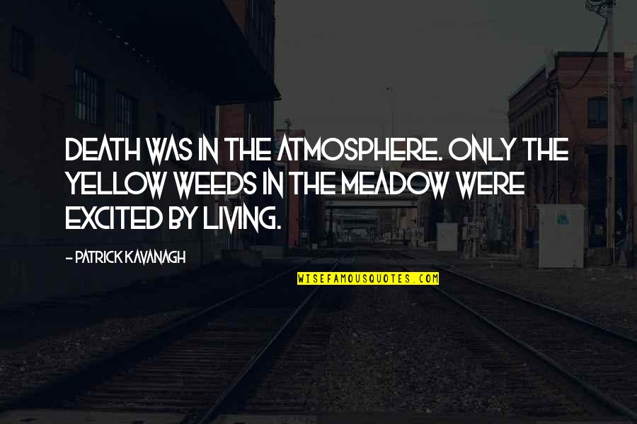 Meadow Quotes By Patrick Kavanagh: Death was in the atmosphere. Only the yellow