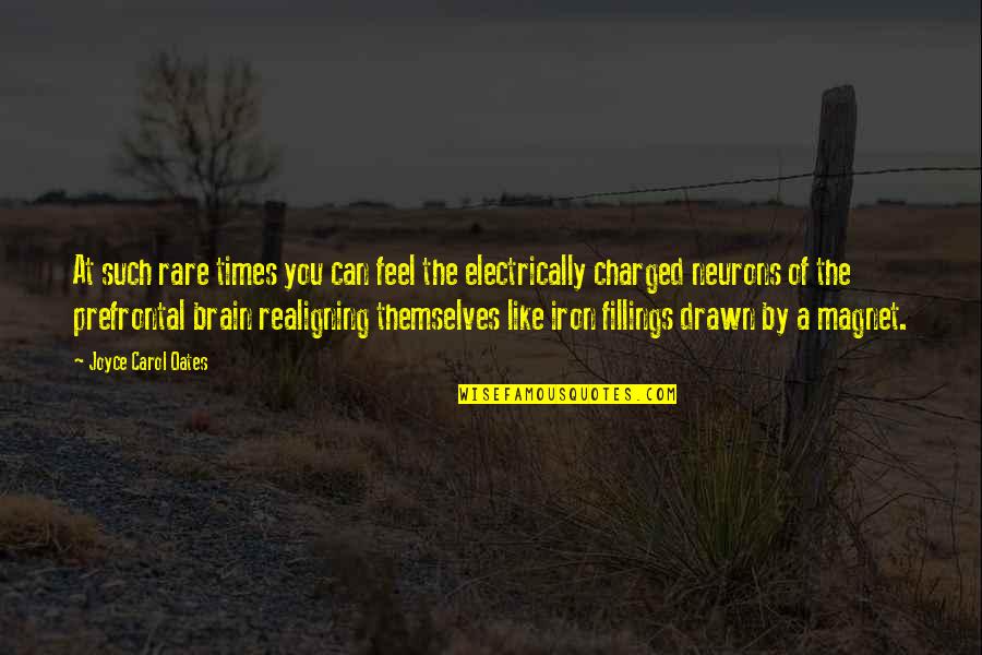 Meadowbrook Quotes By Joyce Carol Oates: At such rare times you can feel the Meadowbrook Quotes By Joyce Carol Oates: At such rare times you can feel the