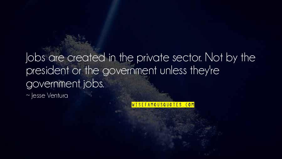 Meadowcroft Presbyterian Quotes By Jesse Ventura: Jobs are created in the private sector. Not