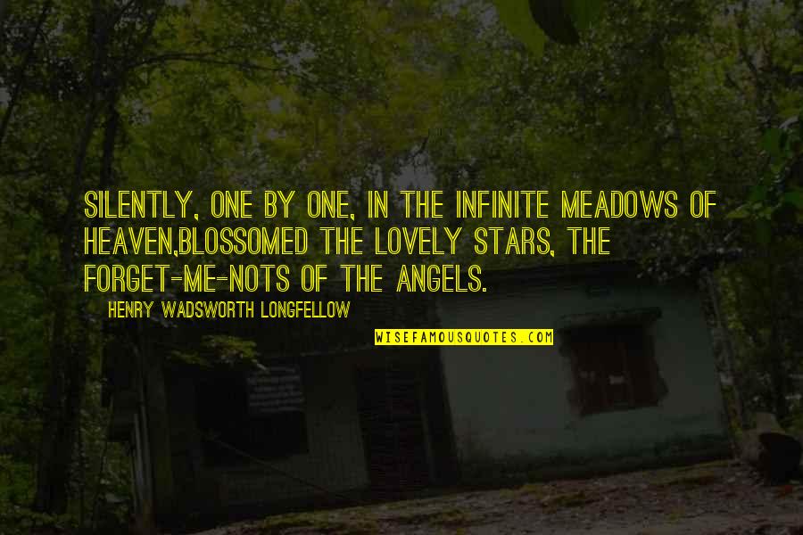 Meadows Quotes By Henry Wadsworth Longfellow: Silently, one by one, in the infinite meadows