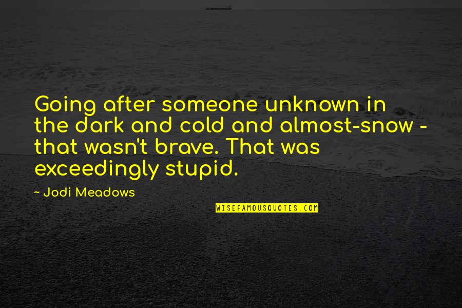 Meadows Quotes By Jodi Meadows: Going after someone unknown in the dark and