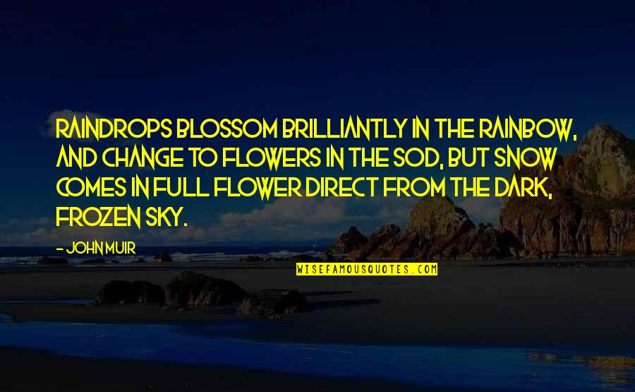 Meadows Quotes By John Muir: Raindrops blossom brilliantly in the rainbow, and change Meadows Quotes By John Muir: Raindrops blossom brilliantly in the rainbow, and change