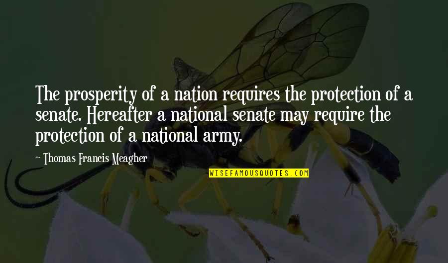 Meagher Quotes By Thomas Francis Meagher: The prosperity of a nation requires the protection Meagher Quotes By Thomas Francis Meagher: The prosperity of a nation requires the protection
