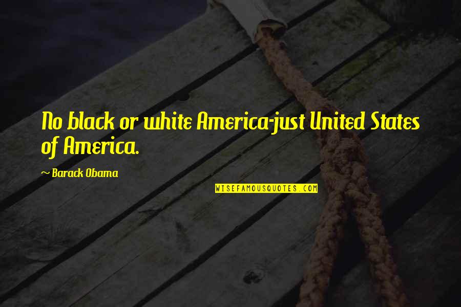 Meaker Group Quotes By Barack Obama: No black or white America-just United States of