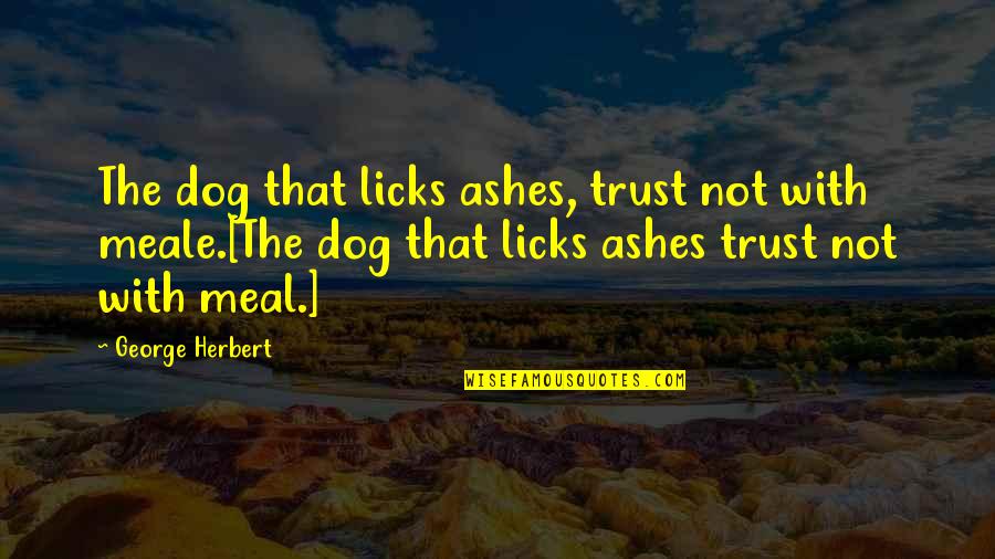 Meale Quotes By George Herbert: The dog that licks ashes, trust not with