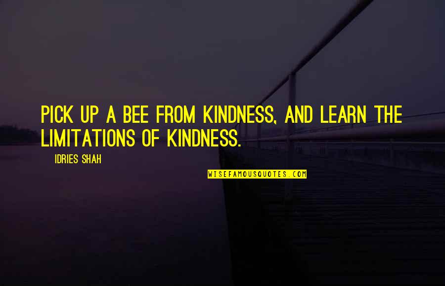 Mean But Funny Best Friend Quotes By Idries Shah: Pick up a bee from kindness, and learn